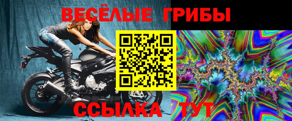 Псилоцибиновые грибы мицелий Семилуки